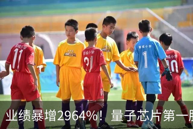 业绩暴增2964%！量子芯片第一股被美国摩根、高盛、瑞银、北向盯上了，周五量能放大2倍——要起飞？
