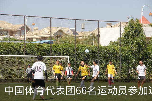中国体育代表团66名运动员参加达喀尔青奥会