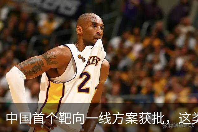 中国首个靶向一线方案获批，这类外周T细胞淋巴瘤迎新选择