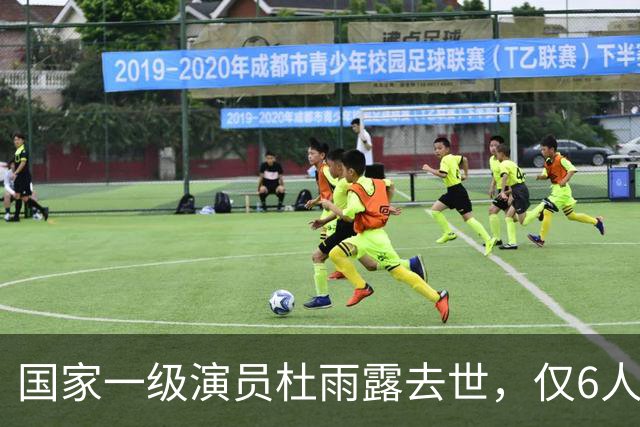 国家一级演员杜雨露去世，仅6人参加他的葬礼，临终遗言让人落泪