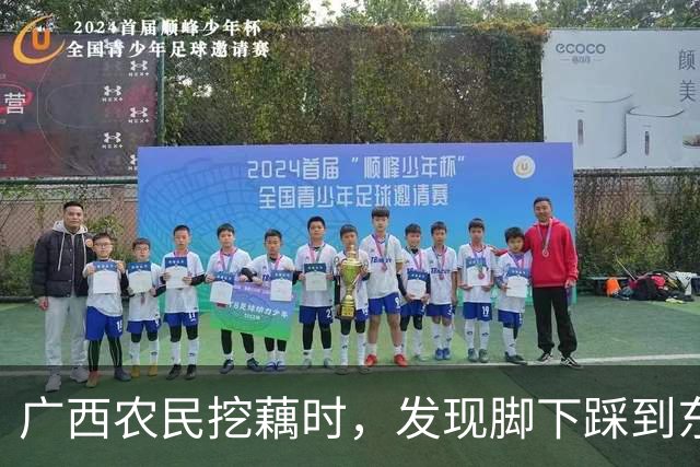 广西农民挖藕时，发现脚下踩到东西，众人合力将其挖出后全都傻眼