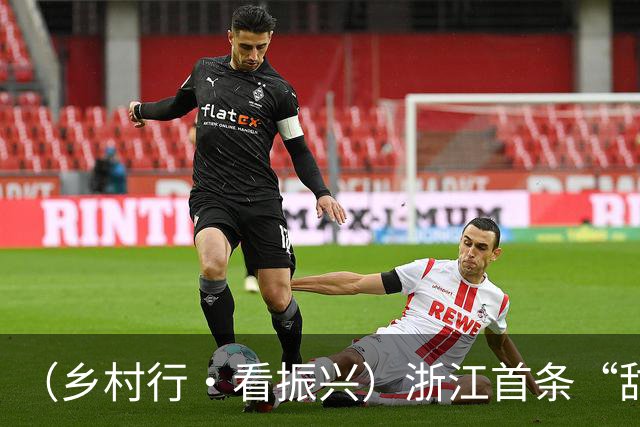 （乡村行·看振兴）浙江首条“甜”野智慧赛道：跑出农文旅融合“科技味”